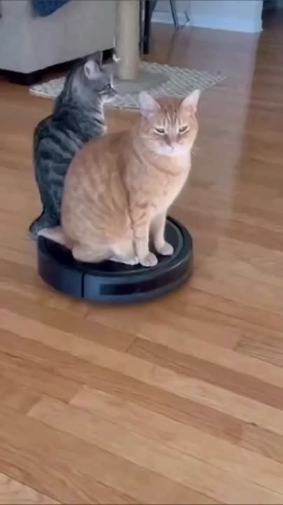 ������, ��������� ������� ��������!