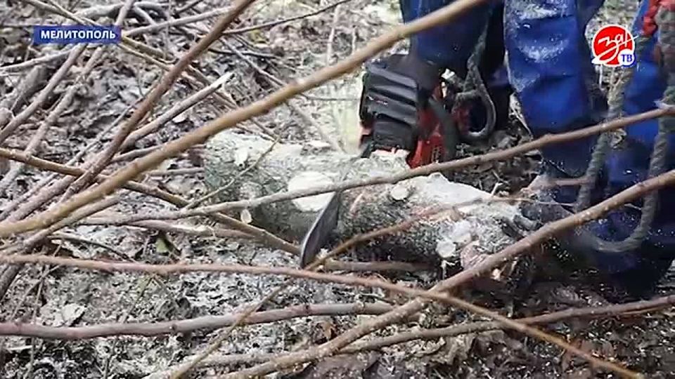 ���������� ������ �� ���-�������� ��� ���������������� �������� ������� ��� ������� ���������������