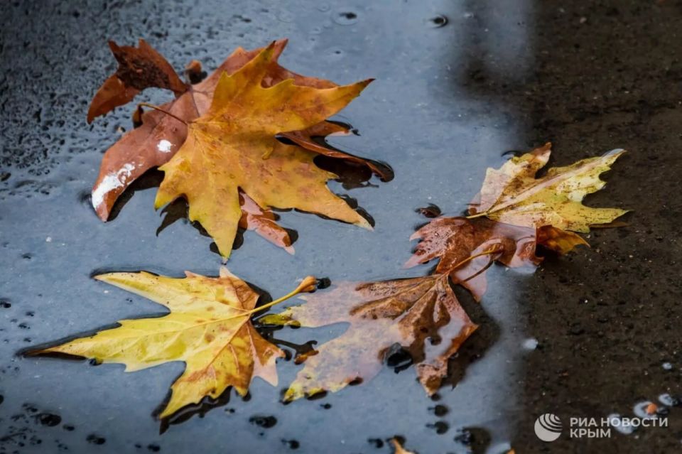 ������ �� ����� ����������� ������