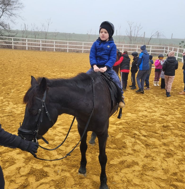 ���� �� ���������� ������ ���������-��������������� ������������ �������� � ��������������� ����� ������