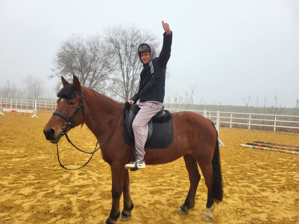 ���� �� ���������� ������ ���������-��������������� ������������ �������� � ��������������� ����� ������