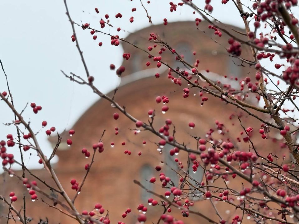 ������ ���� �� �. ���������! ��� ����� ��� ��������� �������, ����������, �� �������� �������, ��������� � �������� � ��������