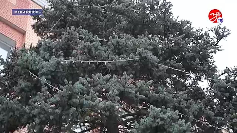 � ���������� ������ ���� ����������� ��������� ������ ������������� �������� ���������� � ����������