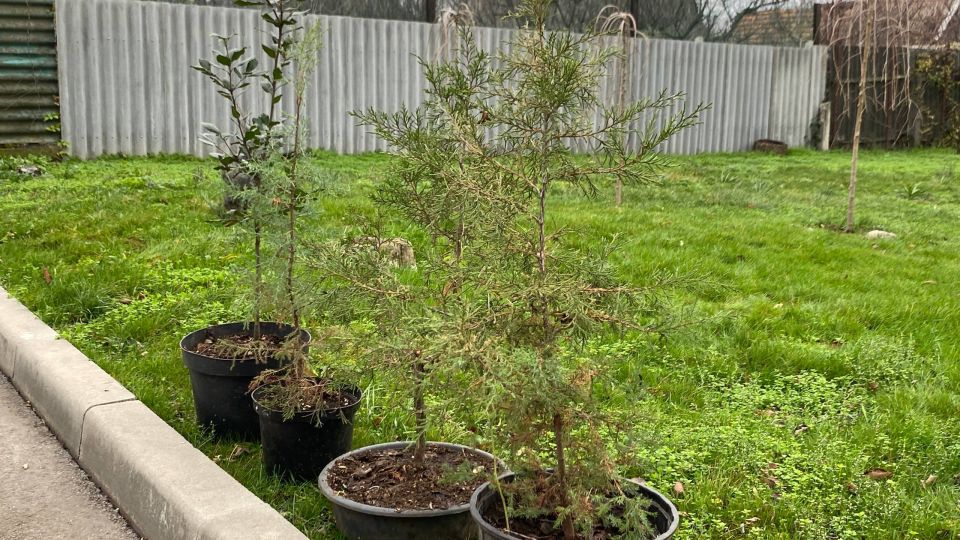 ������������� �������� ����� �������� � ����� ��� ����������� � ������