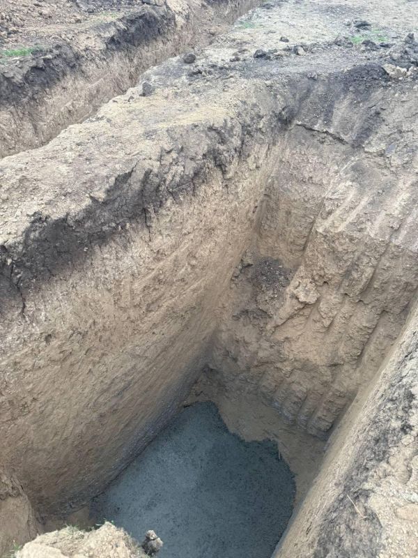 ������� ������ �� ��������� ���������� ����� � ����� ��������� �� ��������� ��������� �� 65%