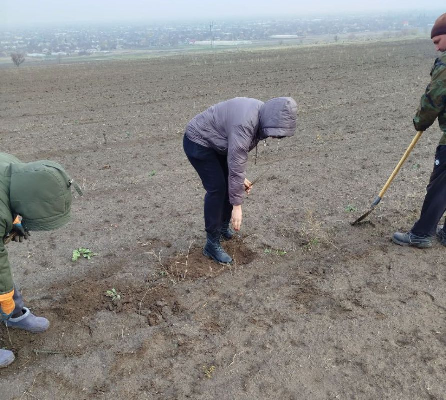 ������� ������ ���������� � ����������� ������� ���������� �������������