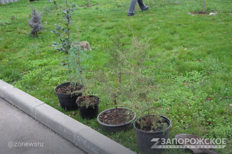 ��������� ���������� �������� ����� �� ��� �����������