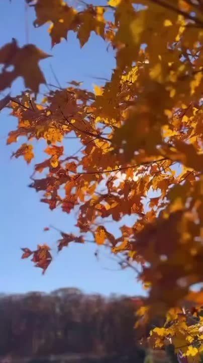 ������ ���� � ��������� ����������!