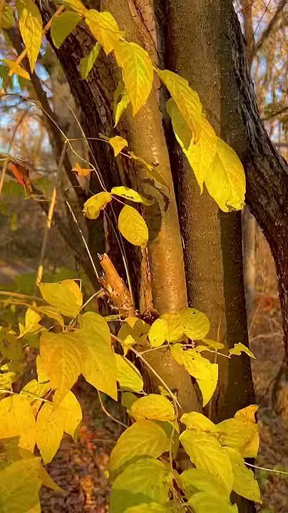 ������ ����!. �������� � ����� ��� ����, ����� � ����