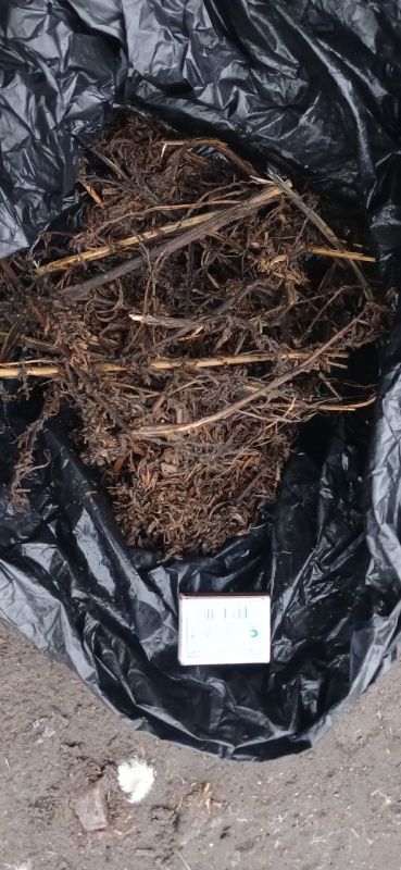 У жителя Мелитопольского района полицейские изъяли наркотические вещества