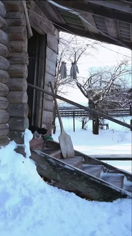 ������ ����!. ������� � �����������, � ��� �������� ���� ������ ������ � ������ ���, ����� ���� � ����� ���������