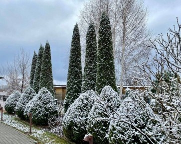 С первым снегом, Терпенье