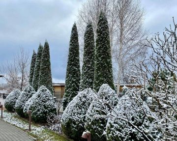 С первым снегом, Терпенье