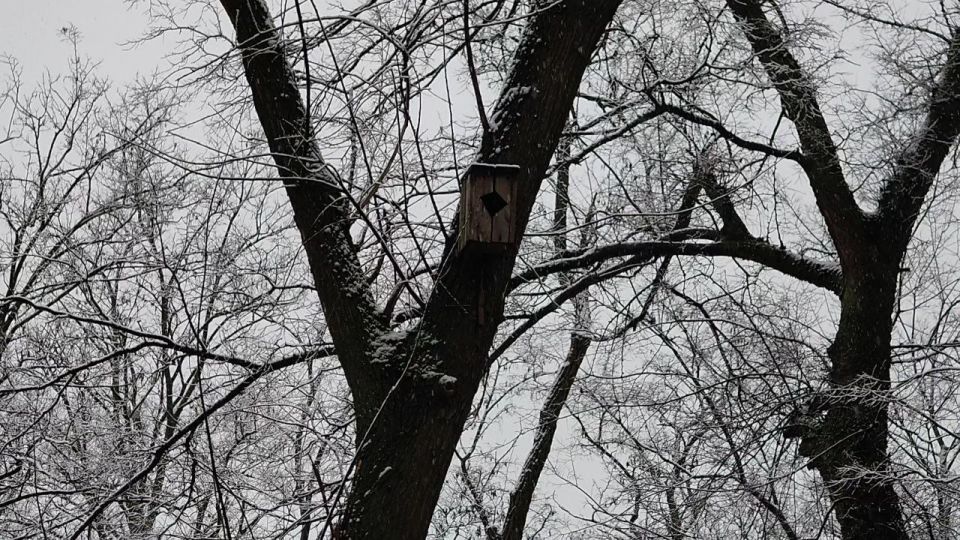 � ���������� ������� ����� ������ ����