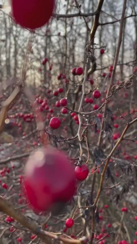 ������ ����!. �������� ������ � ����� ��� �������: ������, �� �������, ������, �� �����