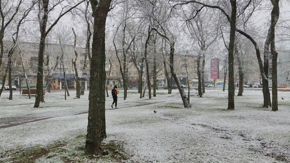 � ���������� ������� ����� ������ ����