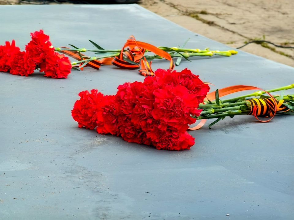 � ���������� ������ �������� ���� �� ����� ������� ������ ������� ������������� �����