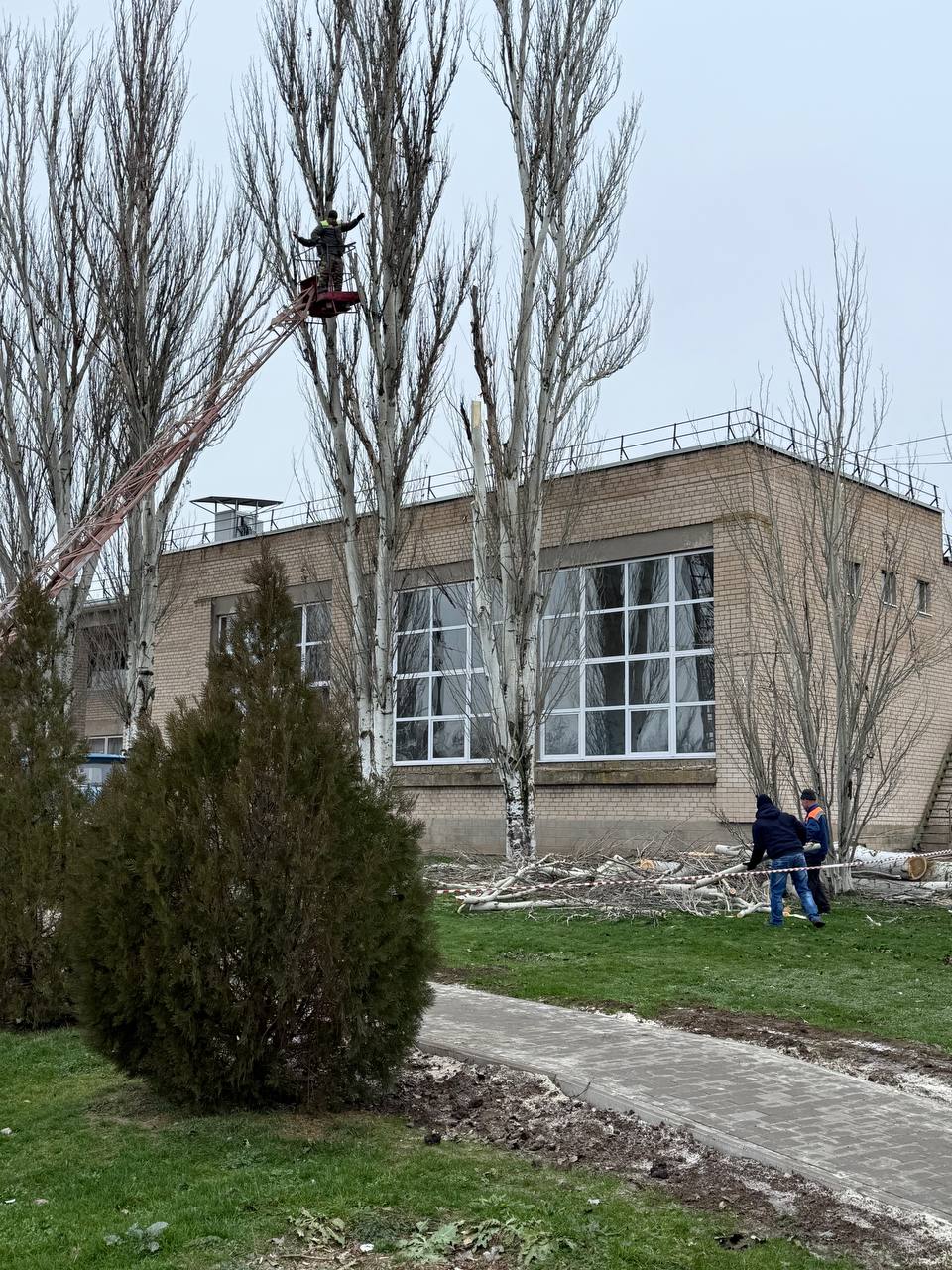 Территория в порядке!. Сотрудниками МБУ «Жилсервис» проведены работы по санитарной и формирующей обрезке деревьев в селе Фруктовое Мелитопольского муниципального округа Территория в порядке!. Сотрудниками МБУ «Жилсервис» проведены работы по санитарной и формирующей обрезке деревьев в селе Фруктовое Мелитопольского муниципального округа