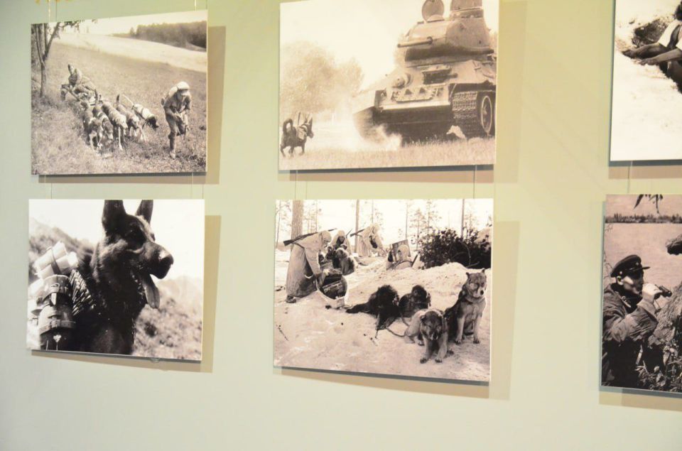 10 ������� � ���������� ��������� ������������ ��������: "��� ���� ������� ������"