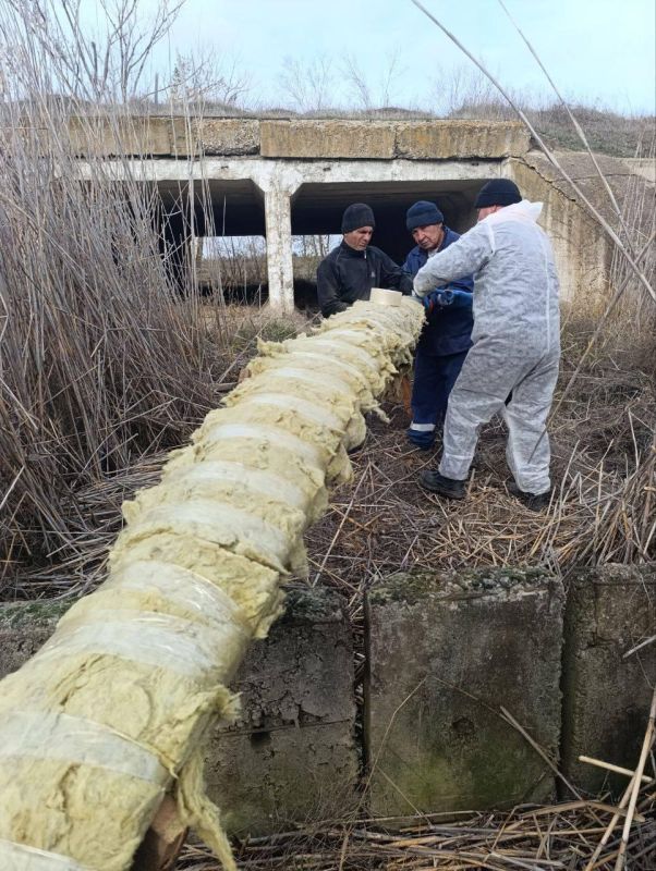 ��� ���������� � �����: ��������������� ����������� ��������� ������������ �������������� ��������