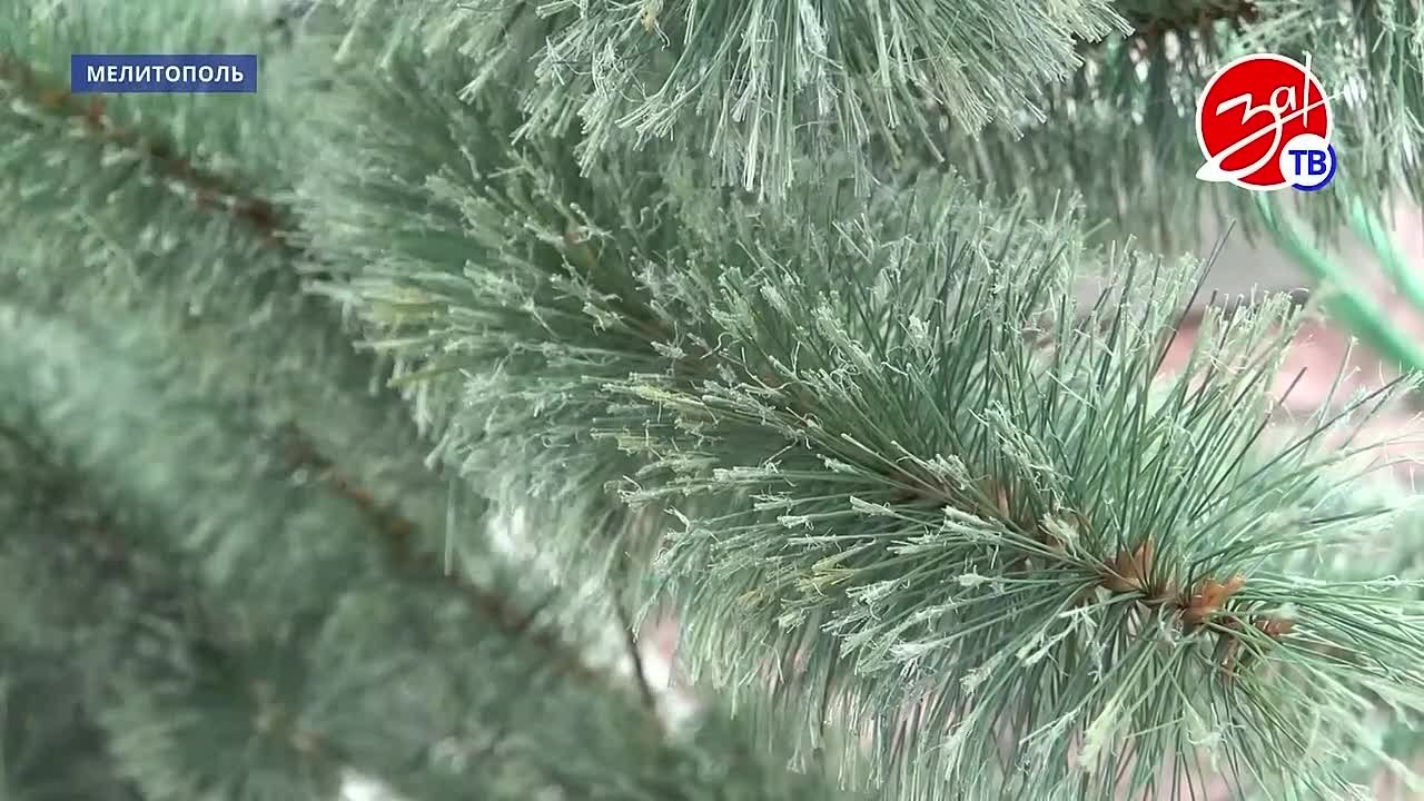 На площади Победы устанавливают главную новогоднюю ёлку Мелитополя