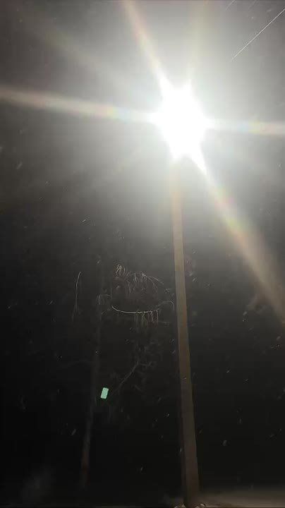 Снова снежок нас радует