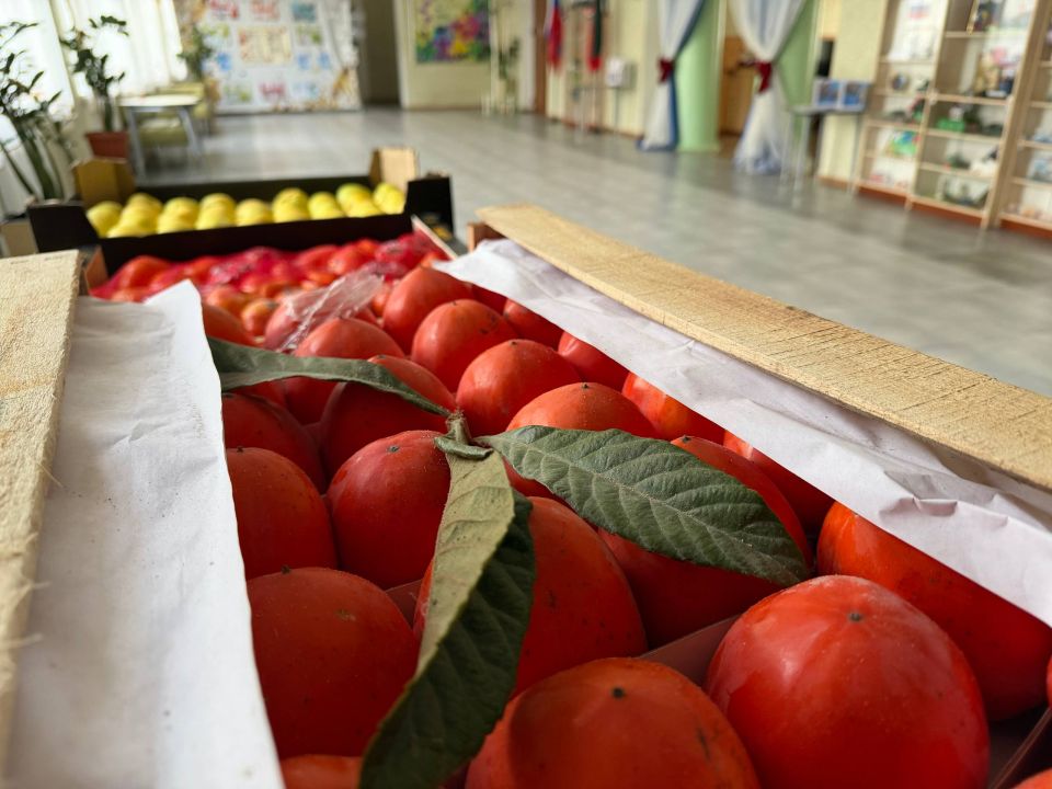 ���������, ������� �����. ��������� ������������� ����� #�������� �������� ������������ ������ � �������������� ��������� ����� ���������-��������������� ������������ �����, � ����� � ������������� ����� ����������...