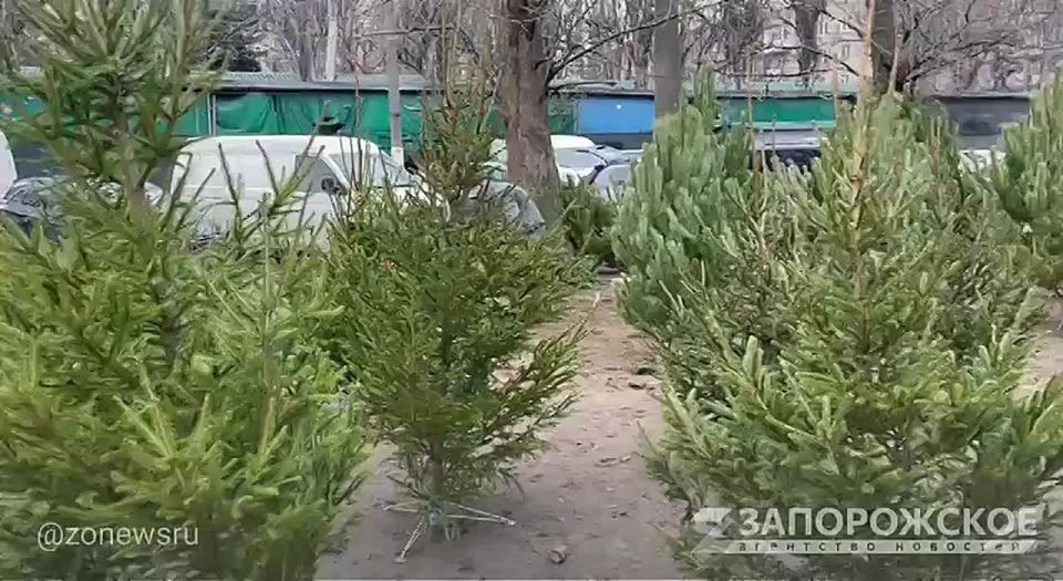 ������������� � ���������: � ���������� �������� ������� �������� ���������� ���� � �����!