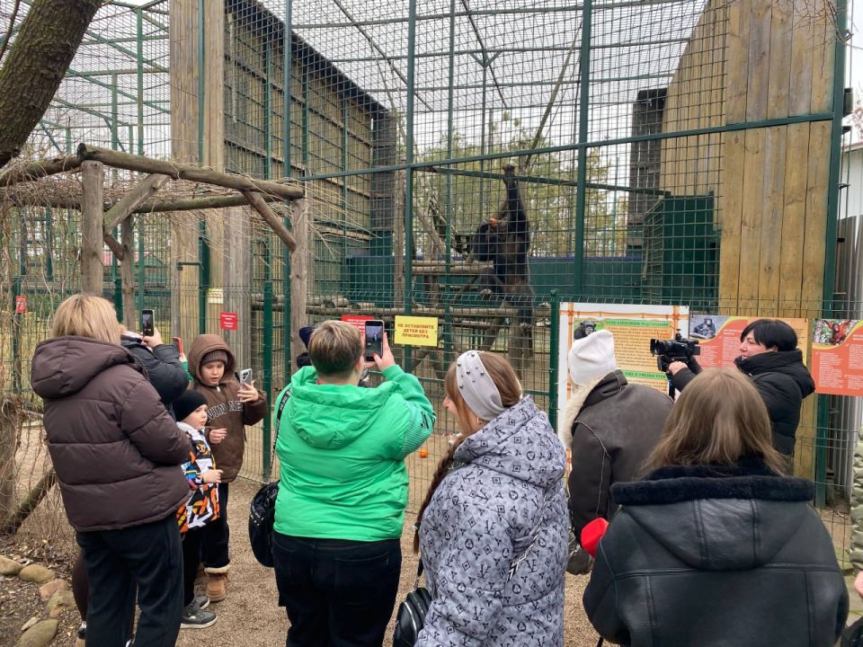 В канун Нового года дети участников СВО из Мелитополя попали на сказочное сафари: запорожский филиал фонда «Защитники Отечества» и региональное министерство молодежной политики организовали для них тур в бердянский зоопарк В канун Нового года дети участников СВО из Мелитополя попали на сказочное сафари: запорожский филиал фонда «Защитники Отечества» и региональное министерство молодежной политики организовали для них тур в бердянский зоопарк