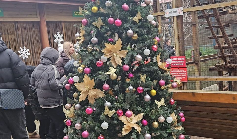 В канун Нового года дети участников СВО из Мелитополя попали на сказочное сафари: запорожский филиал фонда «Защитники Отечества» и региональное министерство молодежной политики организовали для них тур в бердянский зоопарк В канун Нового года дети участников СВО из Мелитополя попали на сказочное сафари: запорожский филиал фонда «Защитники Отечества» и региональное министерство молодежной политики организовали для них тур в бердянский зоопарк