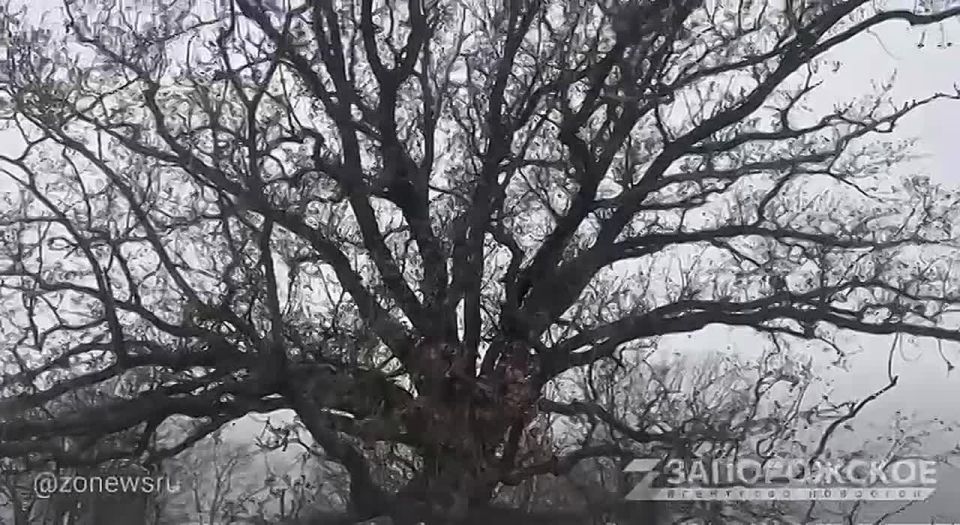 ����� ���� ���������� ����������� ������� �������� �������� � ������ ���������������� ������� � ����������