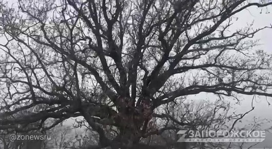 ����� ���� ���������� ����������� ������� �������� �������� � ������ ���������������� ������� � ����������