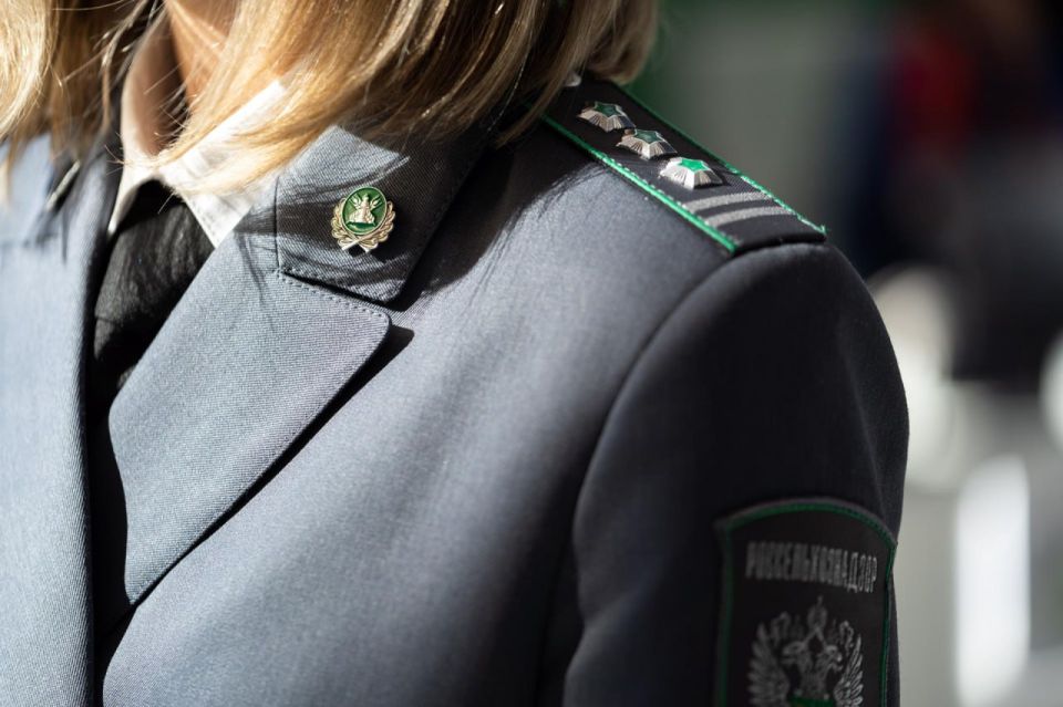 В Запорожской области Россельхознадзор выявил факт перевозки партии пшеницы без карантинного сертификата