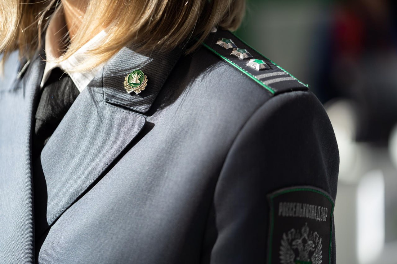 Контроль за перемещением подкарантинной продукции