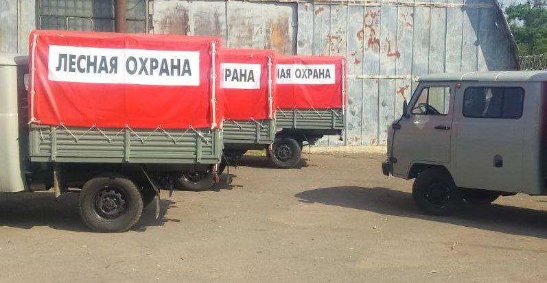 ����� ���������� ������������� ������� �������������� ������������ � ����������� �������