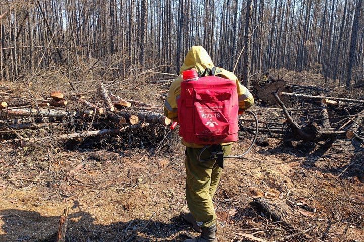 ����� ���������� ������������� ������� �������������� ������������ � ����������� �������