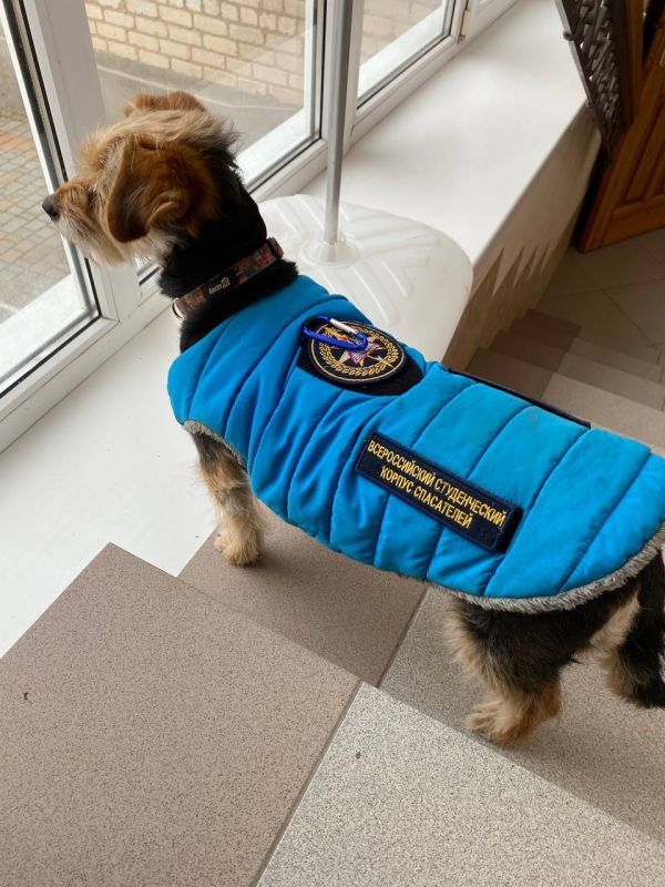 26 декабря школьный спасательный отряд «Гвардия жизни» ГБУ ОО ЗО «Проминевская СОШ № 16» Мелитопольского района принял участие в торжественном открытии учебно-тренировочного центра добровольцев-спасателей ВСКС в городе... 26 декабря школьный спасательный отряд «Гвардия жизни» ГБУ ОО ЗО «Проминевская СОШ № 16» Мелитопольского района принял участие в торжественном открытии учебно-тренировочного центра добровольцев-спасателей ВСКС в городе...