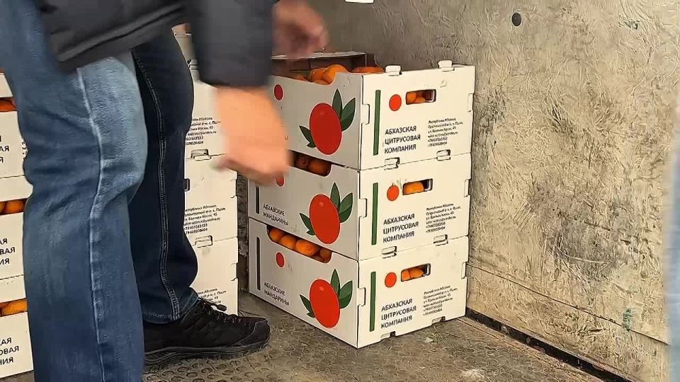 Братская поддержка из Абхазии: мандарины — знак дружбы и заботы