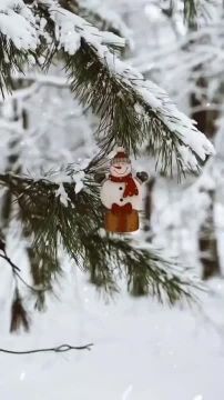 ������ ����!. ������� � ��������� ������� ���� ��������� 2025 ����