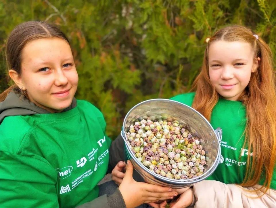 ����� ������ � ����� ������� ��������� �� 2025