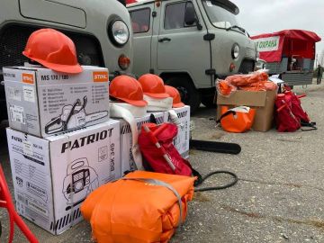 Итоги работы в сфере лесного хозяйства за 2025