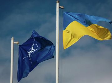 В университете Мелитополя нашли пропагандистскую брошюру о НАТО