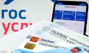 Что делать, если полис ОМС не отображается на Госуслугах
