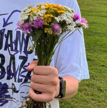 ���� �� ��������: ��� ��������� �������������� ������������ ����������� ����������� �������