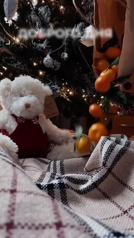 Доброго утра , дорогие Мелитопольцы!