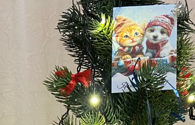 Дети из Запорожской области посетили новогодний спектакль в Москве