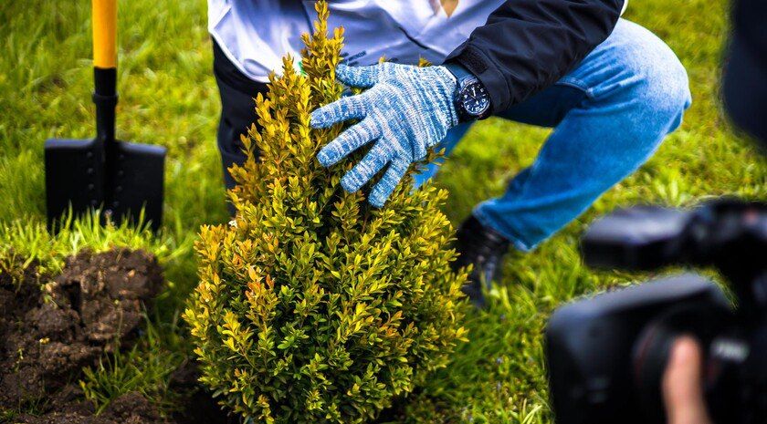 Мелитопольский лесхоз в 2025 году вырастил миллион саженцев