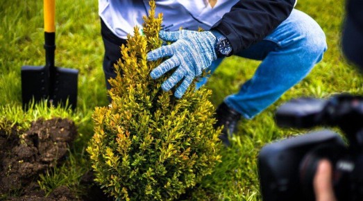 Мелитопольский лесхоз в 2025 году вырастил миллион саженцев