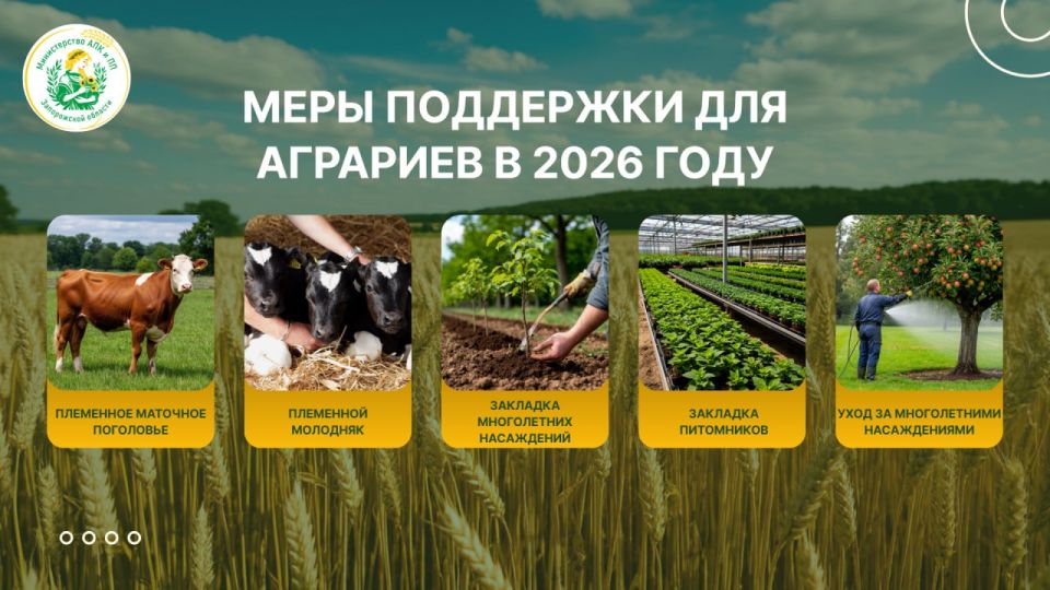 ����� ���� ��������� �������� ��� �������� ����������� ������� � 2026 ����