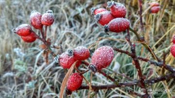 ������ �� ����� ����������� ������